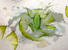 Load image into Gallery viewer, Raymond, Lucie - Hyla - Mix Media - 8x12"