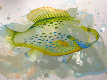 Load image into Gallery viewer, Raymond, Lucie - Sun In - Mixed Media - 8x12"