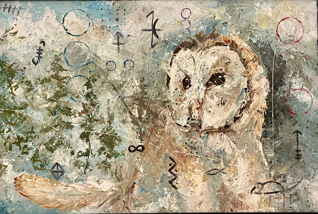 MARSHALL, Joe Foster - Owl - Mixed Media, 24x36