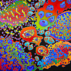 Talmadge, James - Molecular Montage - 48x48'' - Acrylic on Canvas